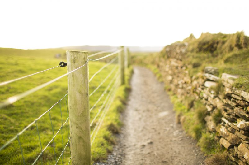 Livestock Fencing Installation detail